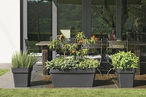 Blumenkasten mit untersetzer - blumenkasten,