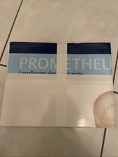 Thieme Anatomie Prometheus