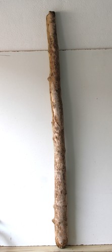 Treibholz schwemmholz - treibholz,