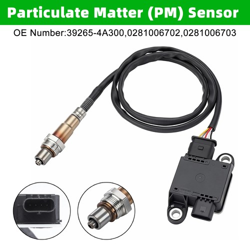 Diesel-Partikelsensor