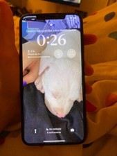 Apple iPhone XS Max A2101