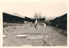 9/463 FOTO FALKNEREI ROHRDORF