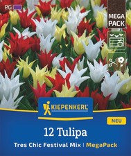 Kiepenkerl Mega-Pack Tres Chic