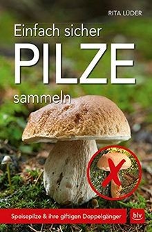 Einfach sicher pilze sammeln - sicher,