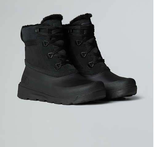 The north face - the,