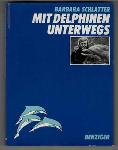 Mit delphinen unterwegs - delphinen,