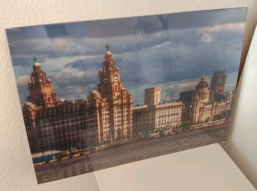 Metallbild liverpool royal - metallbild,