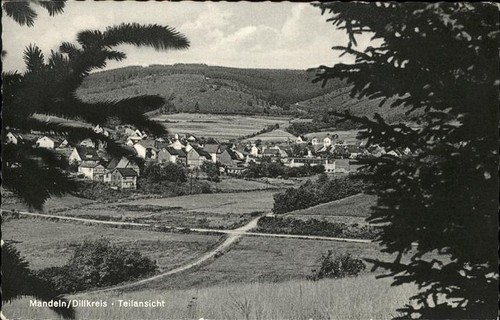 Mandeln dillkreis teilansicht - mandeln,