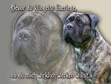 Bullmastiff hundeschild - bullmastiff,