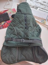 Winterhundemantel grün neu