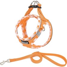 Hundegeschirr Kleine Hunde mit