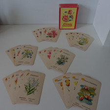 Vollständiges altes blumen - vollständiges,