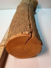 1 Stamm Drechselholz Buchsbaum