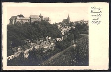 Leisnig, Gesamtansicht mit