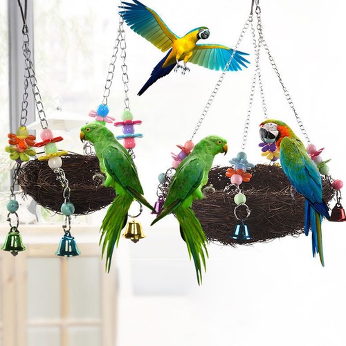Vogel papagei wellensittich - "vogel,