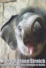 VIER AUF EINEN STREICH - DVD -