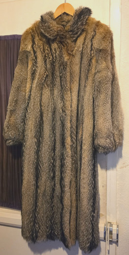 Hübscher echter grisfuchs - hübscher,
