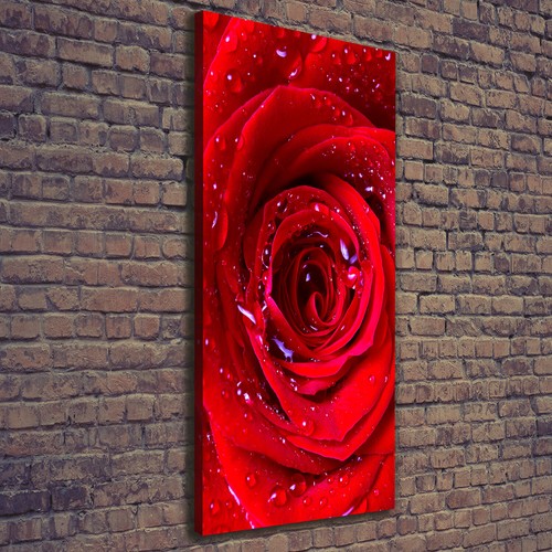 Leinwand bild kunstdruck - leinwand-bild,