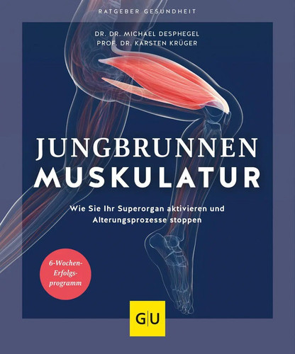 Jungbrunnen muskulatur - jungbrunnen,
