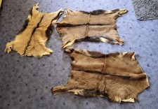 0761) 3 Stück  Ziegenfelle  Ziegenpelz Ziegen  Fell  Pelz  Echtpelz  Fellteppich