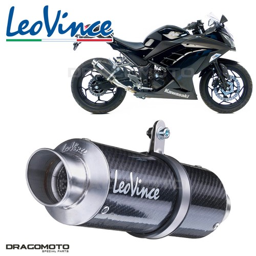 Kawasaki 300 ninja - 300,