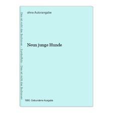 Neun junge hunde - junge,