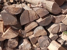 hochwertiges Brennholz Esche - ofenfertig - 130€ pro Ster - Lieferung im Umkreis