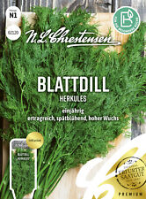 Blattdill Herkules