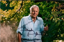Original Autogramm David