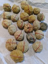 Bergkristall Geode Nuss Drusen