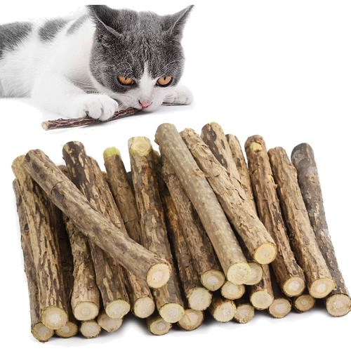 Katzenminze sticks - katzenminze,