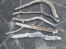 5 x Skulptur Schwemmholz Treibholz Figur Tier Schlange Deko basteln 63 - 75 cm