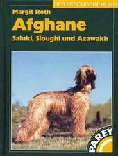 Afghane - Saluki, Sloughi und