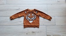 H&M Jungen Sweatshirt Gr. 110