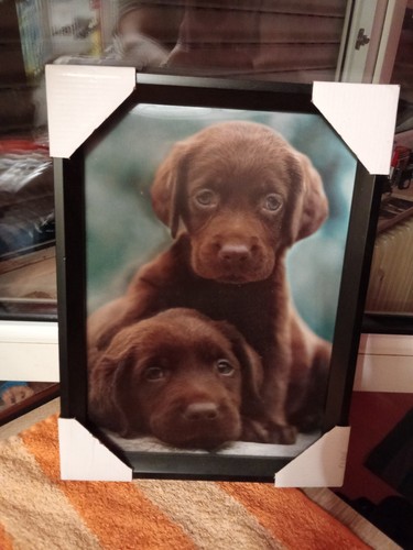Labrador welpen wandbild - welpen, 3d