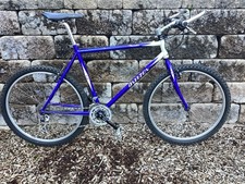 Breezer Thunder Mountain Bike