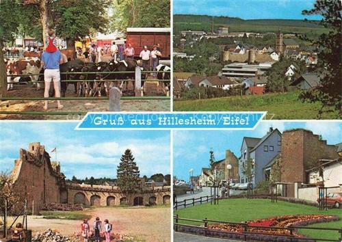 Hillesheim eifel viehauktion - hillesheim,