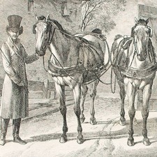 Johann Adam Klein Kutscher Wagenpferde Radierung 1811 Signatur in der Platte