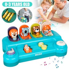 Pop up Baby Spielzeug ab 6