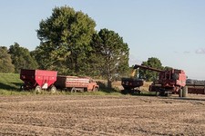 Bucyrus Ohio 2016 Soybean