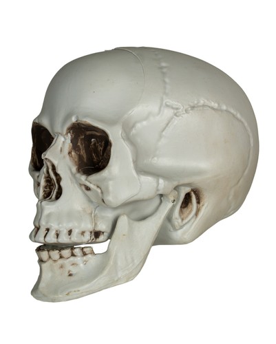 Deko totenkopf mit - deko,
