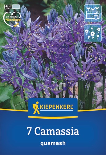 Kiepenkerl prärielilie 7 - prärielilie, –