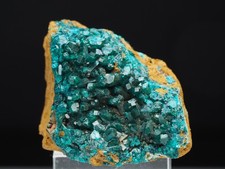 Dioptas, Kaokovields, Omaue, Namibia