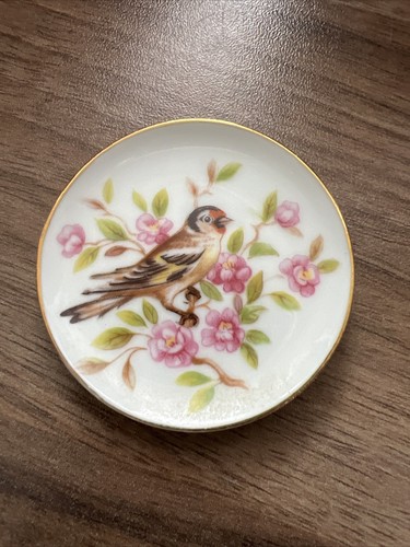 Wandteller singvogel - wandteller,