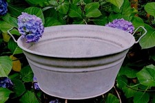 Alte Rarität seltene