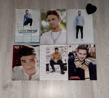 Liam Payne Ausland Poster