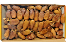 DEGLET NOUR DATTELN MIT STIEL
