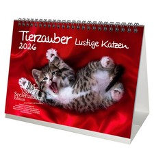 Tierzauber lustige Katzen DIN