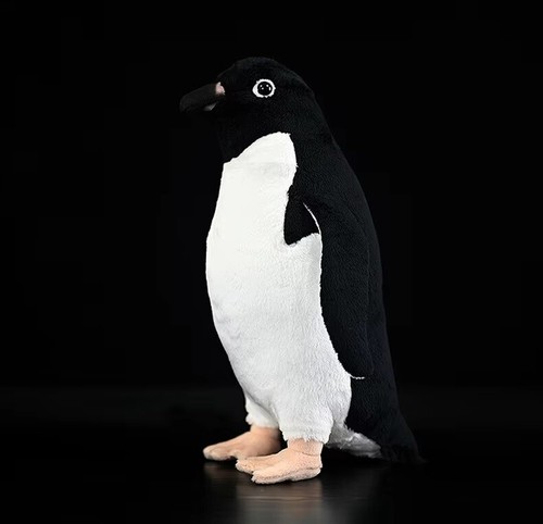 Adelie pinguin vogel - adelie-pinguin,