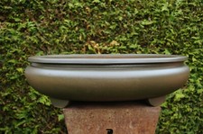 sehr große ovale Bonsaischale, gebraucht, 48 cm lange Seite